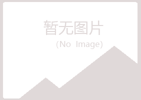 河池千城能源有限公司